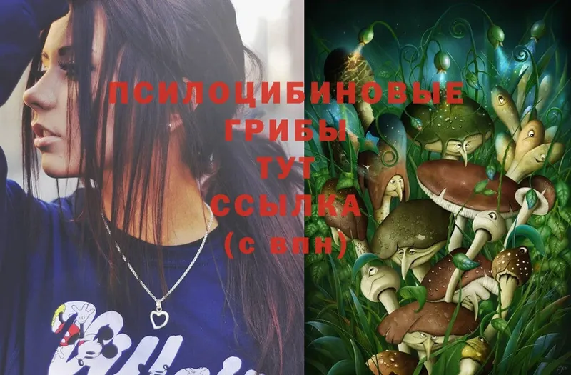 хочу   Миньяр  Псилоцибиновые грибы Magic Shrooms 